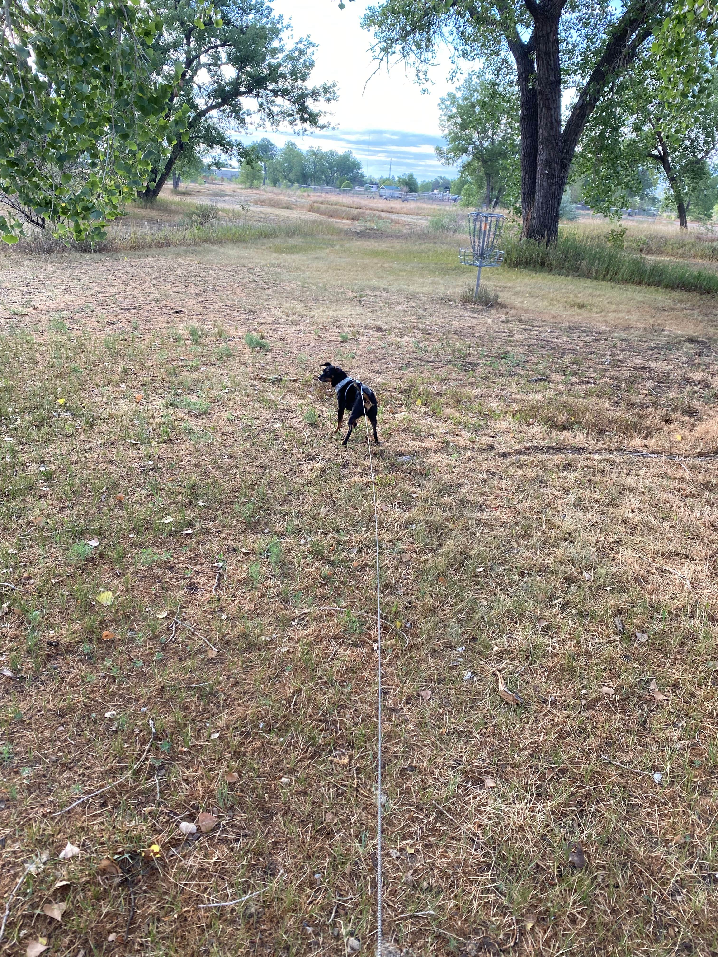 Shannon G.'s photo of camping with pets at Riverside Park Campground near Bridgeport, NE