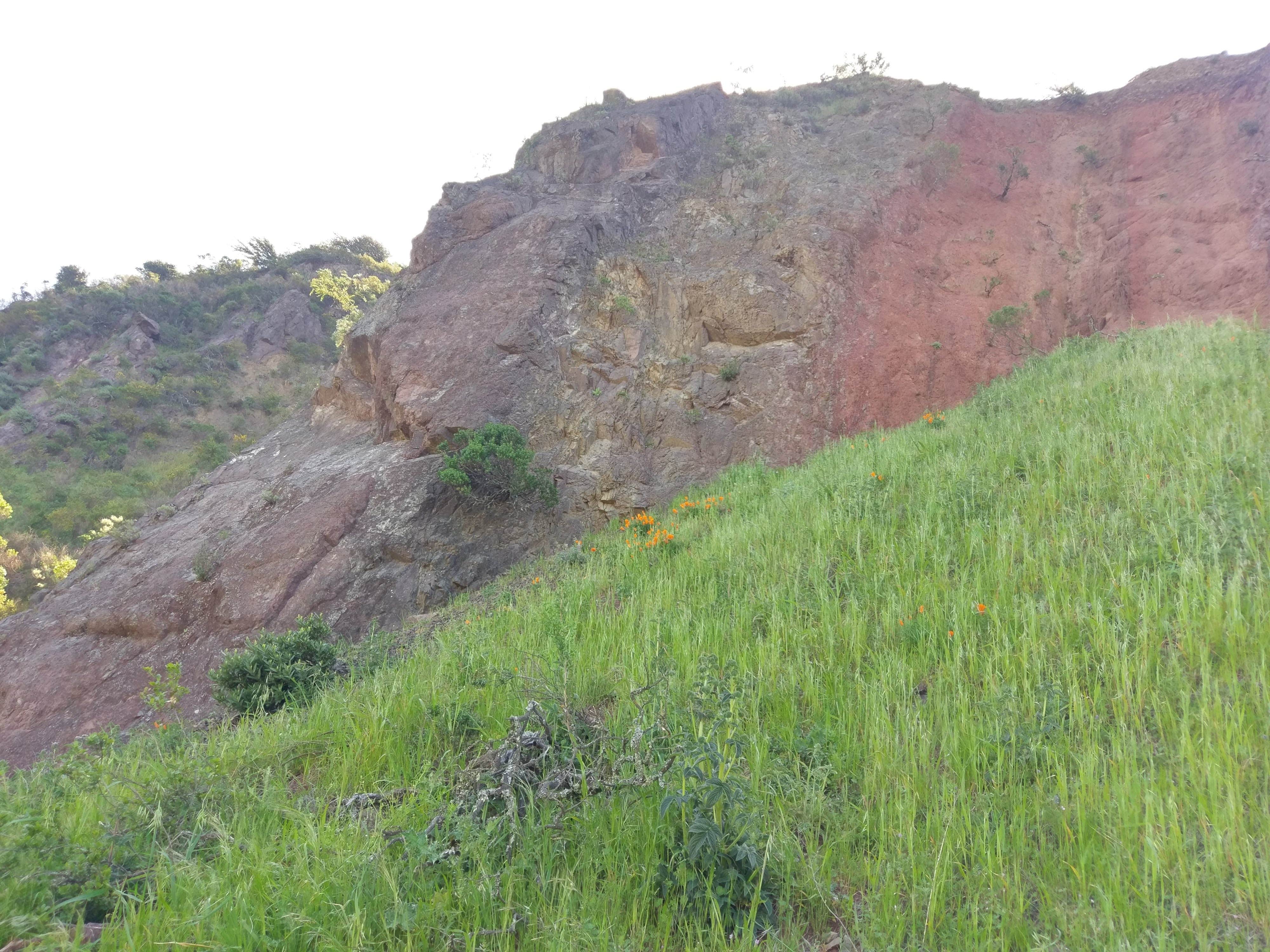 Camper-submitted photo at Sibley Volcanic Regional Preserve near Alamo, CA
