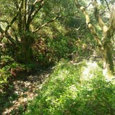 Review photo of Sibley Volcanic Regional Preserve by Elliott B., July 19, 2018