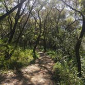 Review photo of Sibley Volcanic Regional Preserve by Elliott B., July 19, 2018