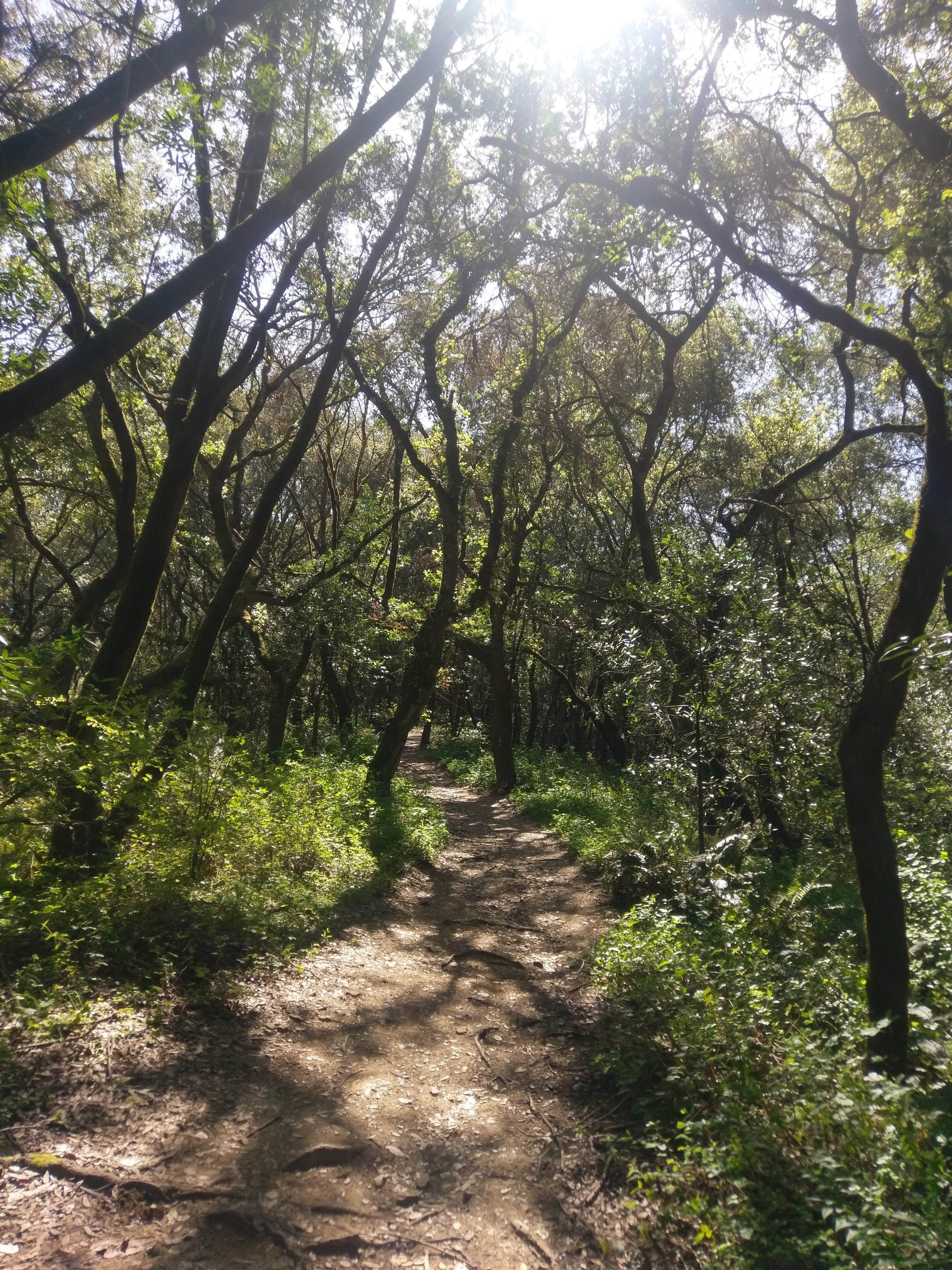 Camper submitted image from Sibley Volcanic Regional Preserve - 1