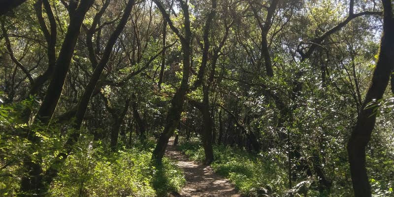 Camper submitted image from Sibley Volcanic Regional Preserve