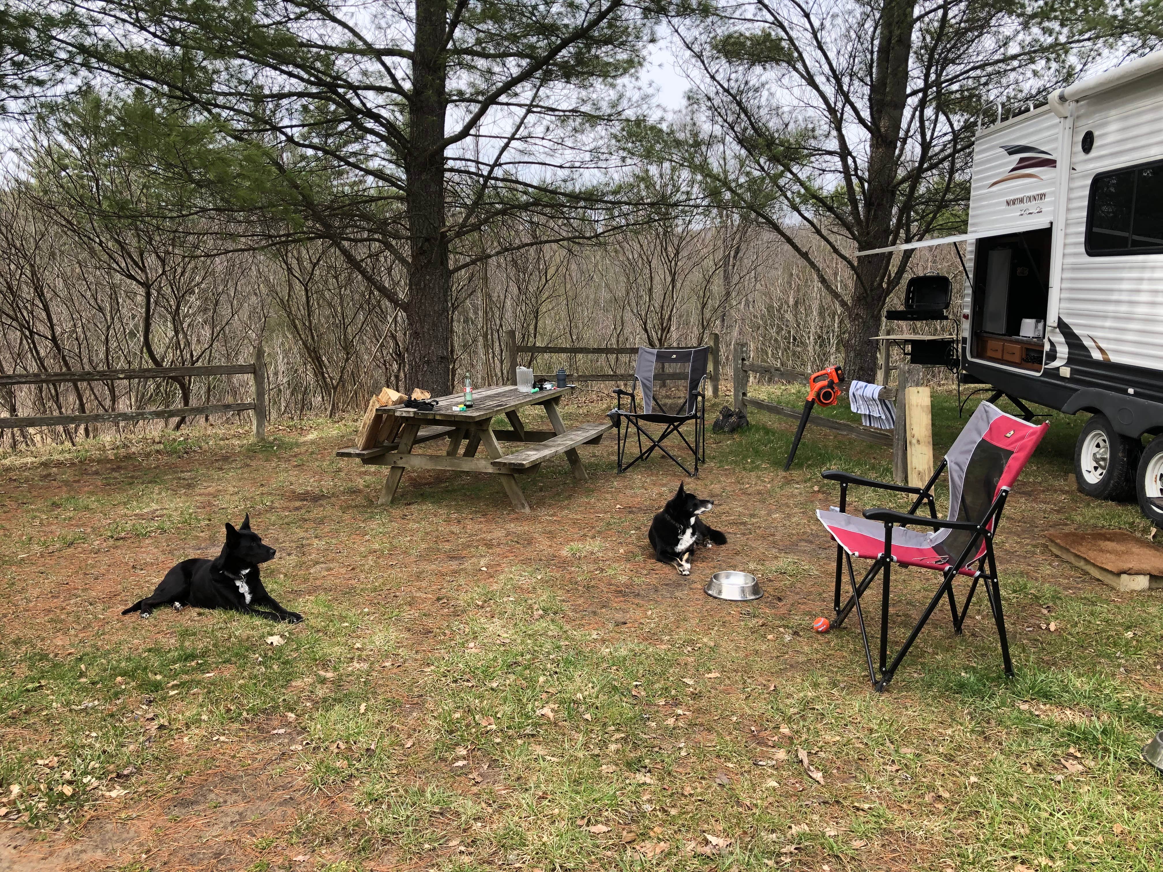 emily P.'s photo at Coolwater on the Pine River Campground in Michigan