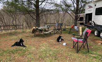 emily P.'s photo at Coolwater on the Pine River Campground in Michigan