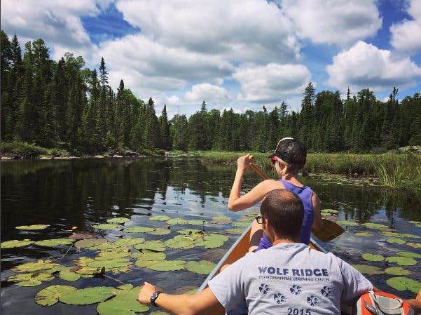 Camper submitted image from Sawbill Lake Campground - Superior National Forest - 5