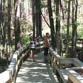 Review photo of Falling Waters State Park Campground by Lisa D., July 19, 2018