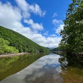 Review photo of Savage River State Forest by James P., July 18, 2022