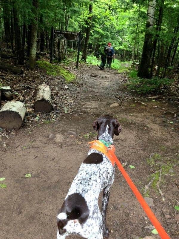 Camper-submitted photo at Porcupine Mountains Backcountry Camping — Porcupine Mountains Wilderness State Park near Hurley, WI