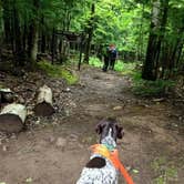 Review photo of Porcupine Mountains Backcountry Camping — Porcupine Mountains Wilderness State Park by Jay W., July 19, 2018