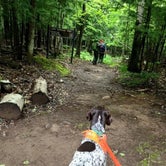 Review photo of Porcupine Mountains Backcountry Camping — Porcupine Mountains Wilderness State Park by Jay W., July 19, 2018