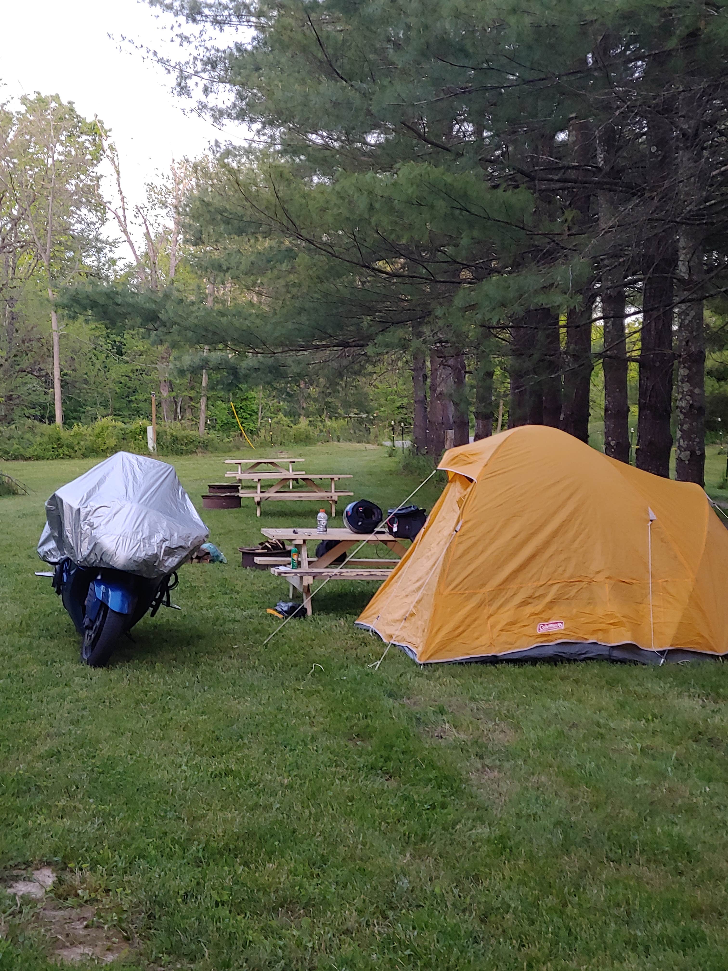 Ed &.'s photo of tent camping at Pops Place Camping near Lockbourne, OH