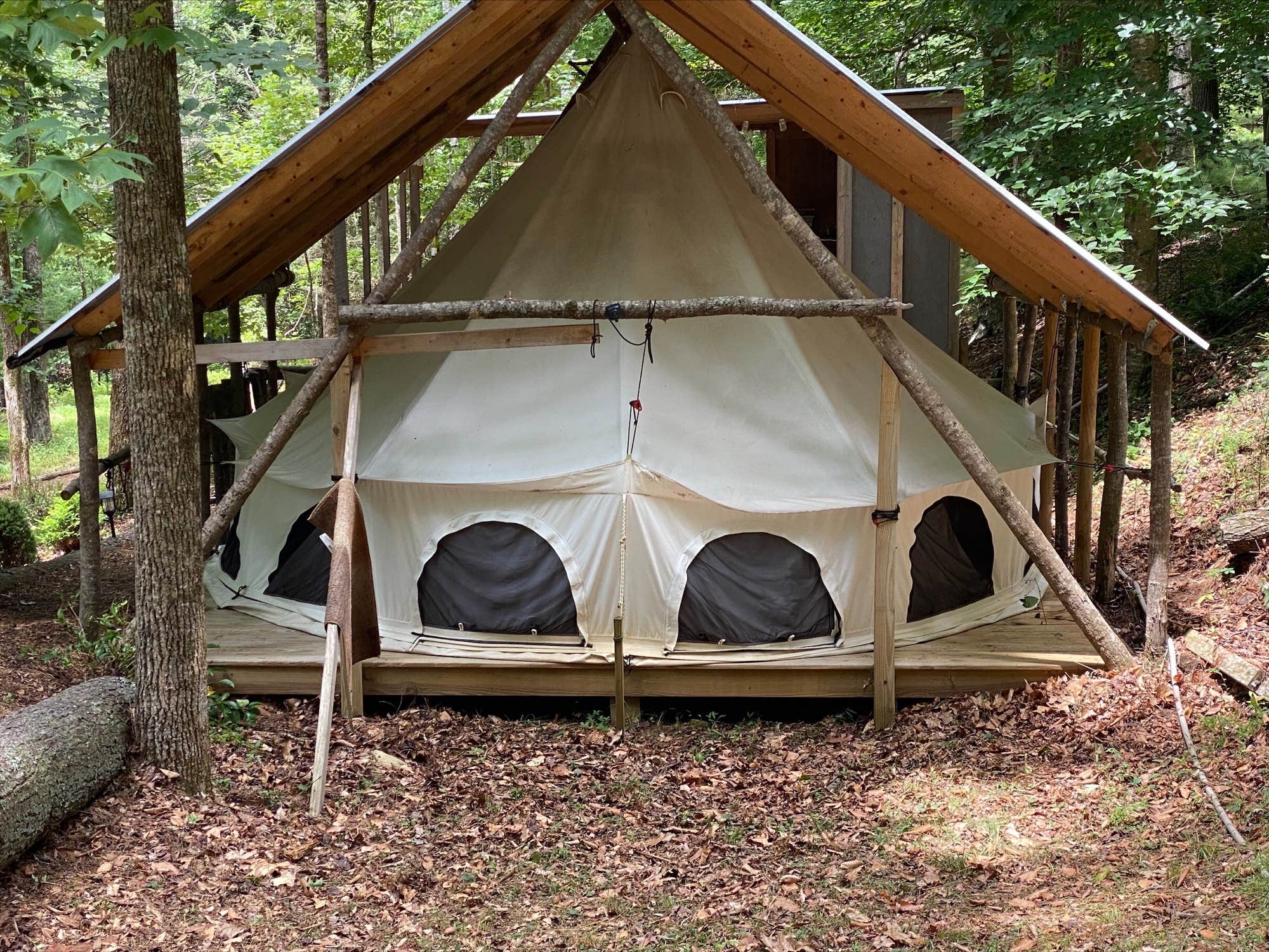 Bob and Cathy W.'s photo at The Glamp Shack in Georgia