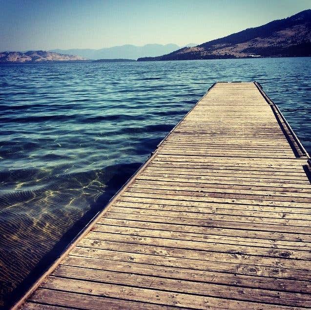 Camper submitted image from Big Arm State Unit — Flathead Lake State Park - 5