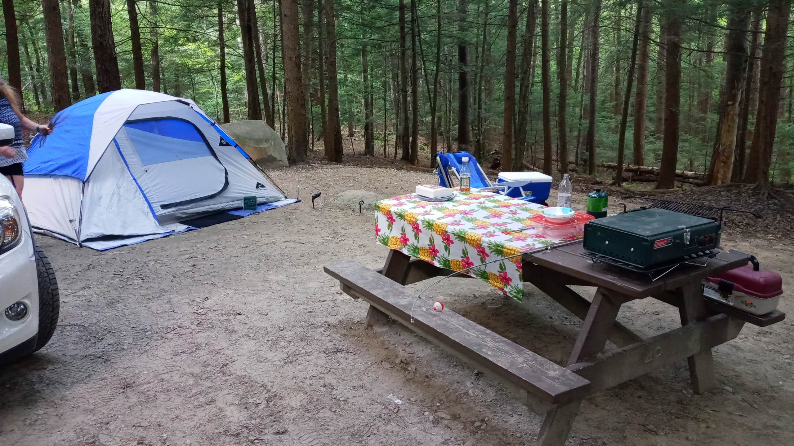 Joseph C.'s photo at Clarksburg State Park Campground near Drury, MA