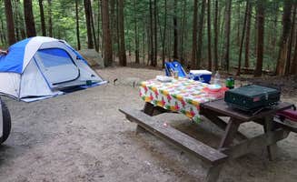 Joseph C.'s photo at Clarksburg State Park Campground near Williamstown, MA