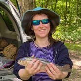 Review photo of Raccoon Creek State Park Campground by Steven L., July 18, 2022