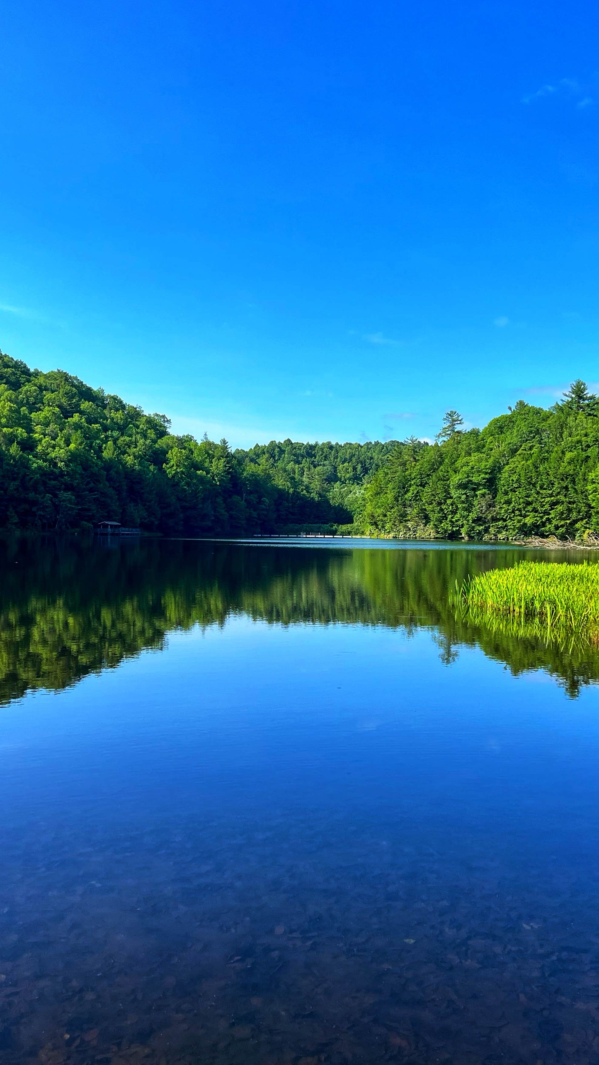 Erik C.'s photo of a dispersed camping area at Washington & Jefferson National Forest Dispersed Sites near Hays, NC