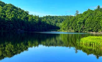 Erik C.'s photo of a dispersed camping area at Washington & Jefferson National Forest Dispersed Sites near Fries, VA