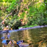 Review photo of Washington & Jefferson National Forest Dispersed Sites by Erik C., July 18, 2022