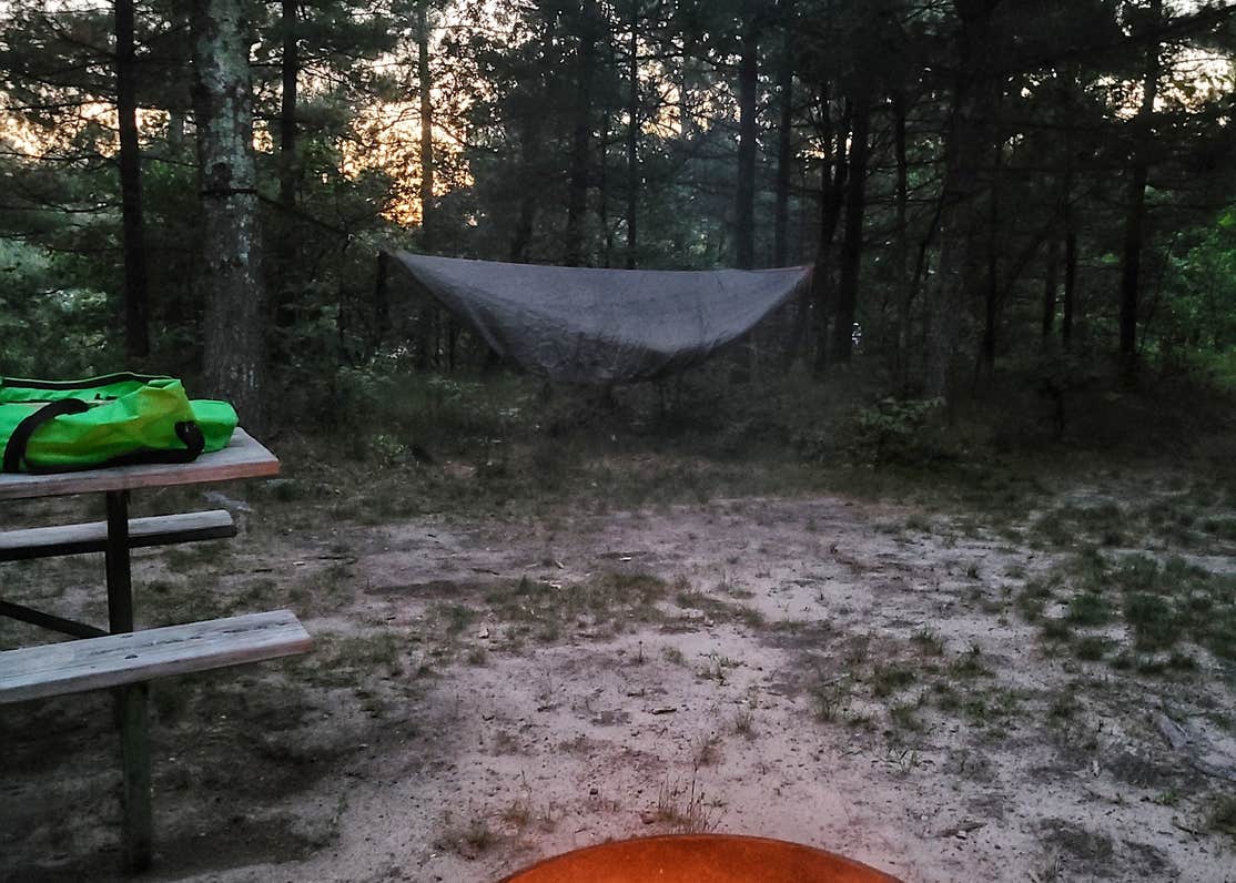 Coon Fork Campground Camping The Dyrt