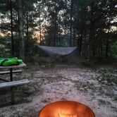 Review photo of Coon Fork Campground by Amy G., July 18, 2022