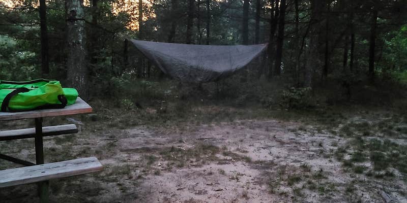 Camper submitted image from Coon Fork Campground
