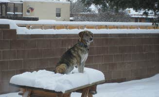 The Dyrt's photo of camping with pets at Rustic RV near Key West, FL