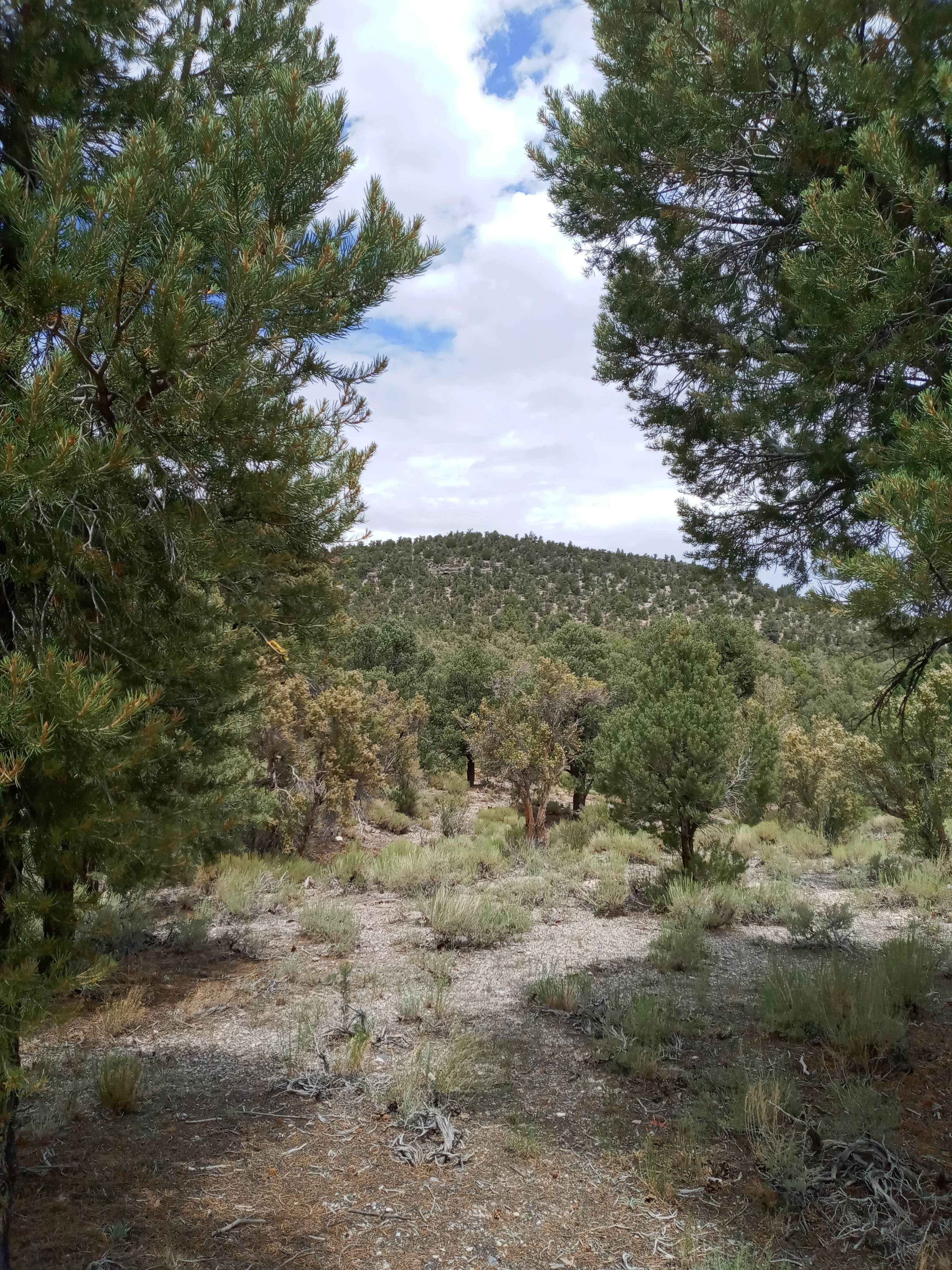 Camper-submitted photo at Sawmill near Murphy Hot Springs, ID