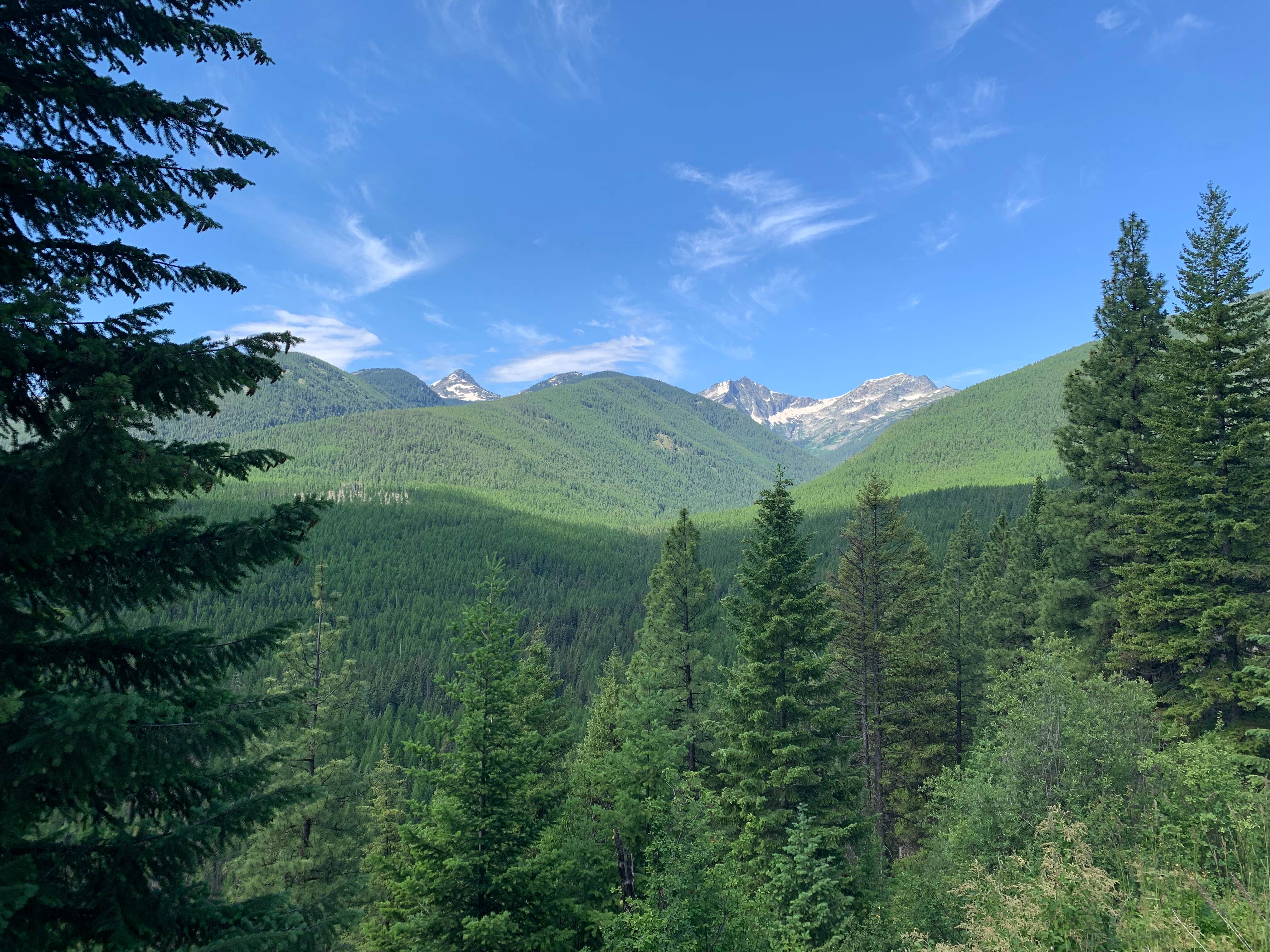 Camper-submitted photo at Howard Lake Campground near Trout Creek, MT