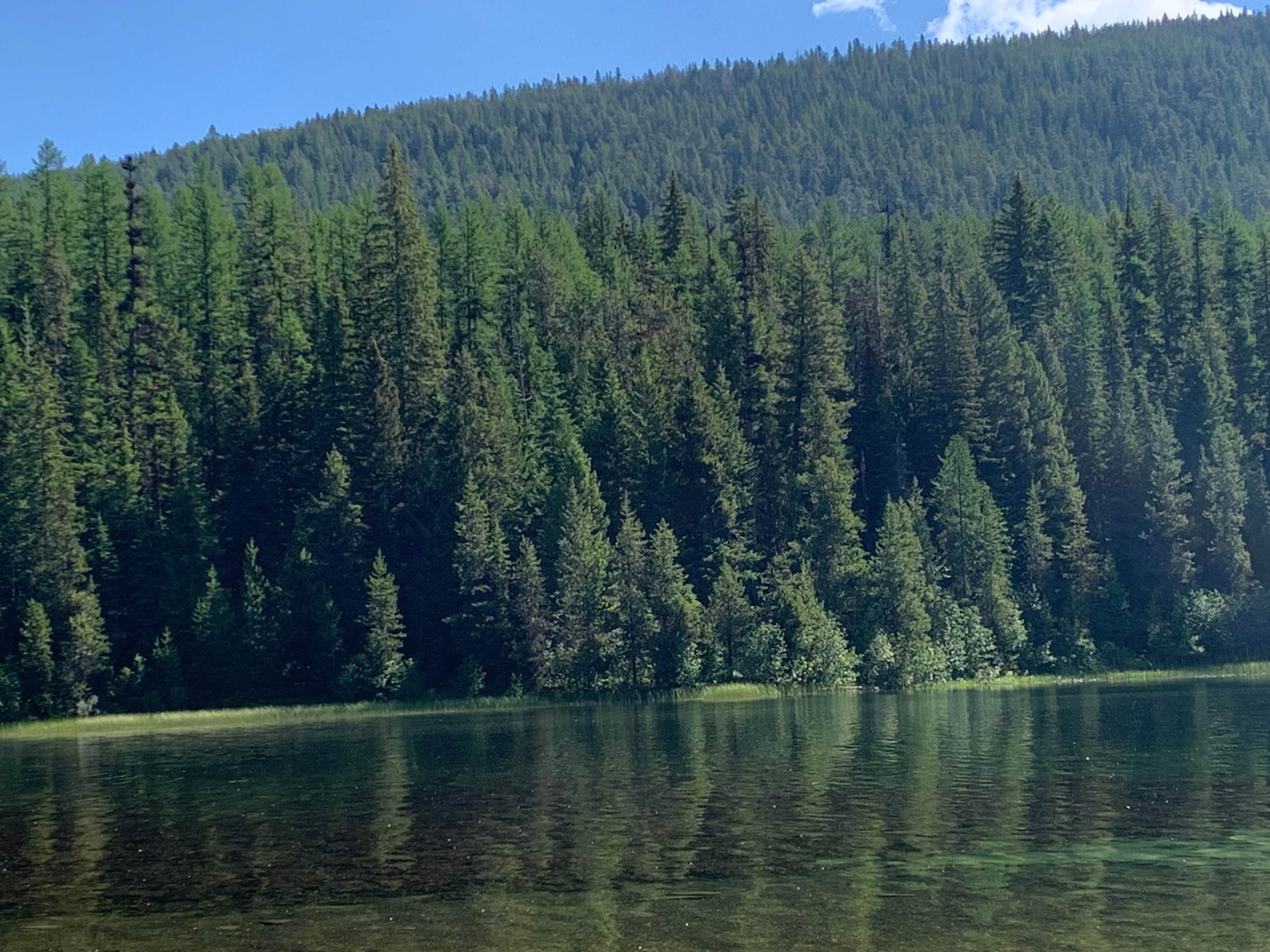 Camper-submitted photo at Howard Lake Campground near Trout Creek, MT