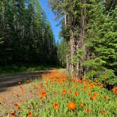 Review photo of Howard Lake Campground by Jill S., July 18, 2022