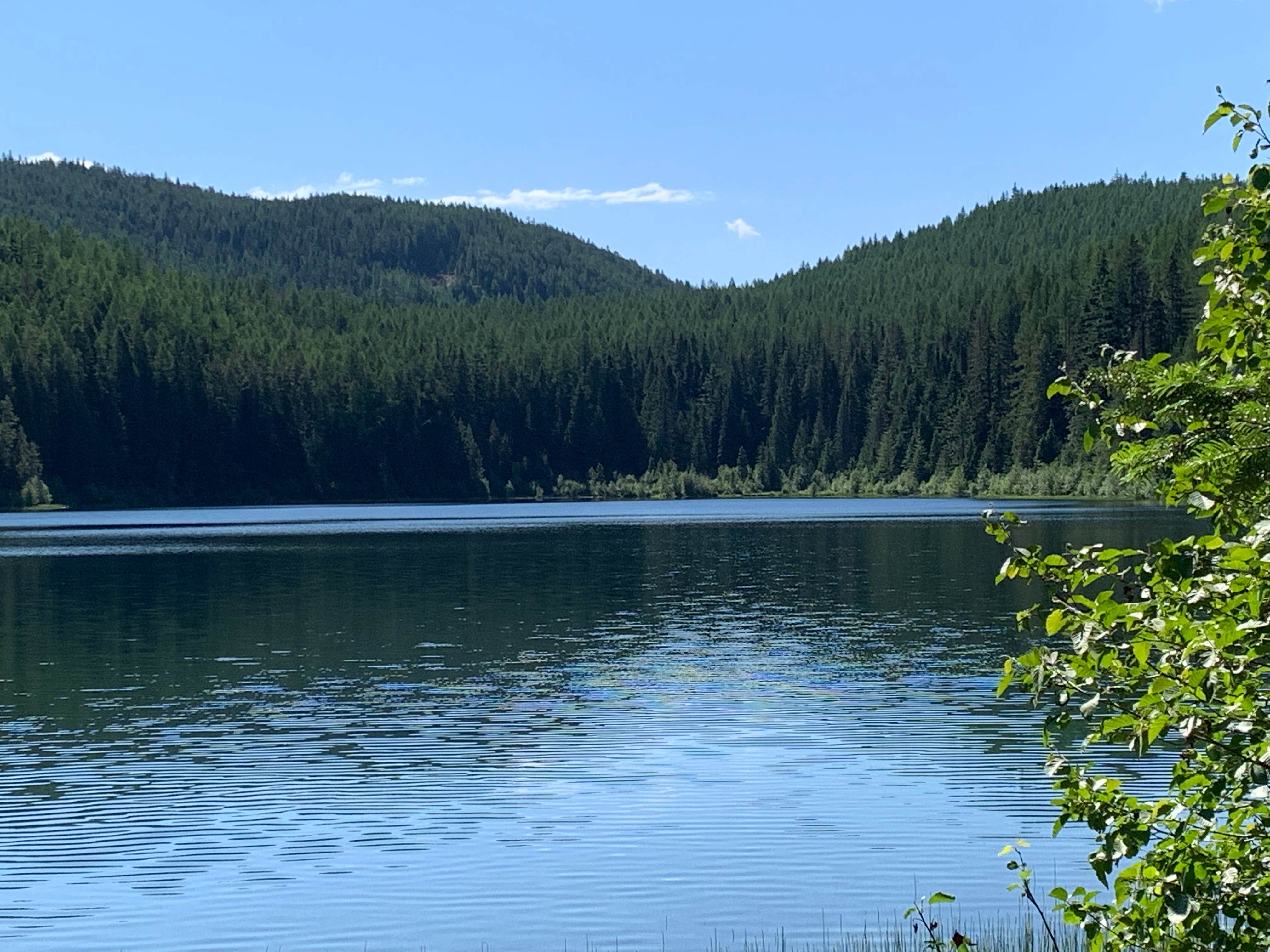 Camper-submitted photo at Howard Lake Campground near Trout Creek, MT