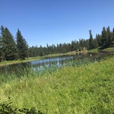 Review photo of Bull Prairie Campground (OR) by andy , July 18, 2022