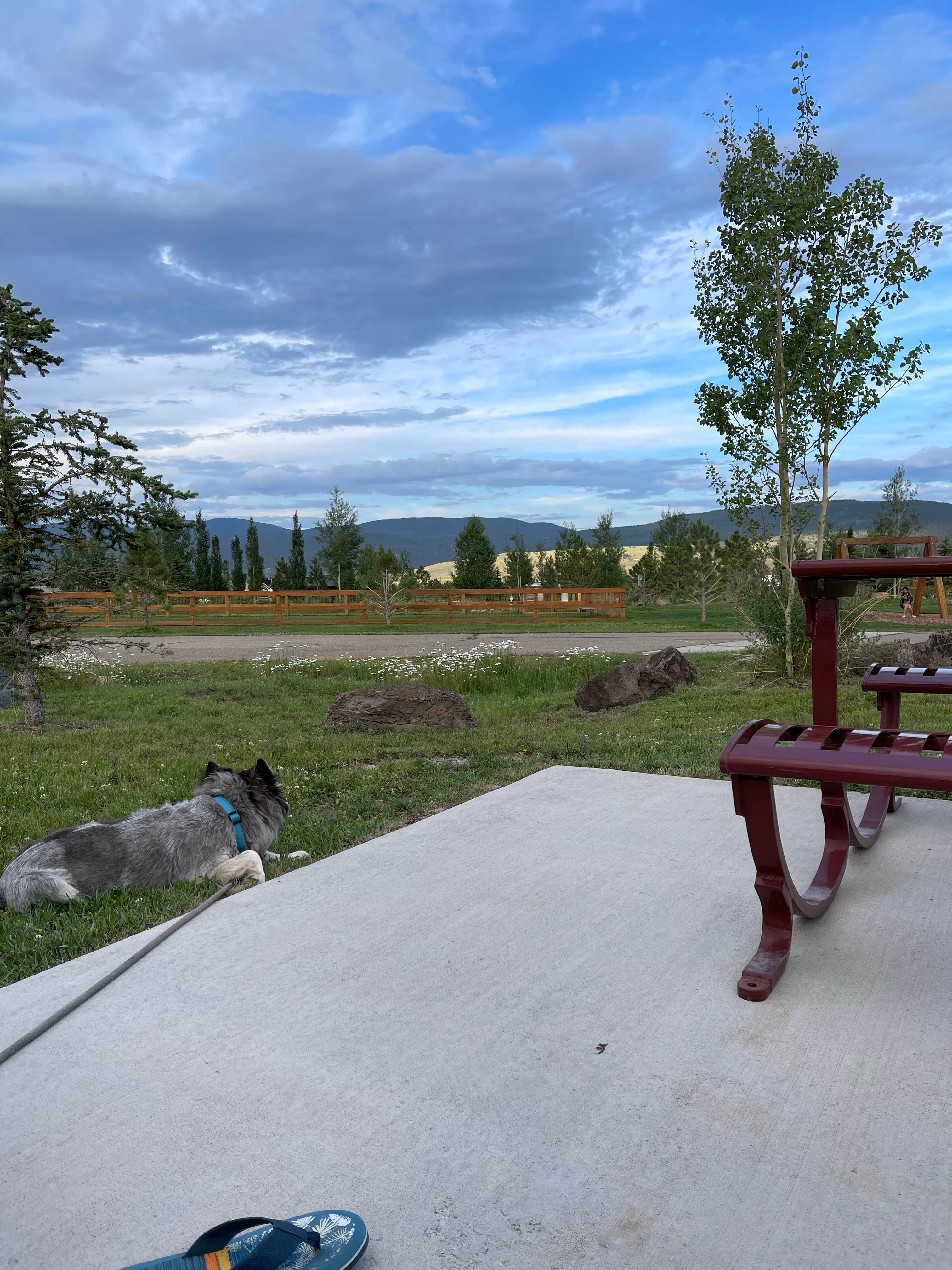 Valentina A.'s photo of camping with pets at Angel Fire RV Resort near Taos, NM