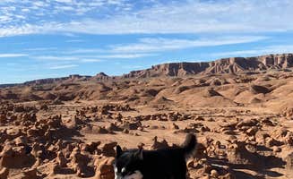 Alyssa L.'s photo of camping with pets at Goblin Valley State Park Campground near Hanksville, UT