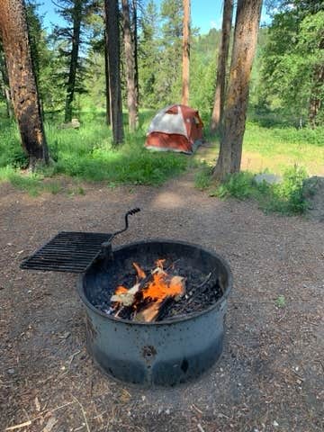 Escape to Montana's Wild Side: Thain Creek Campground, Your Gateway to Adventure