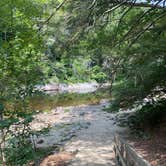 Review photo of Jamaica State Park Campground by Kitty , July 18, 2022