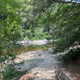 Review photo of Jamaica State Park Campground by Kitty , July 18, 2022