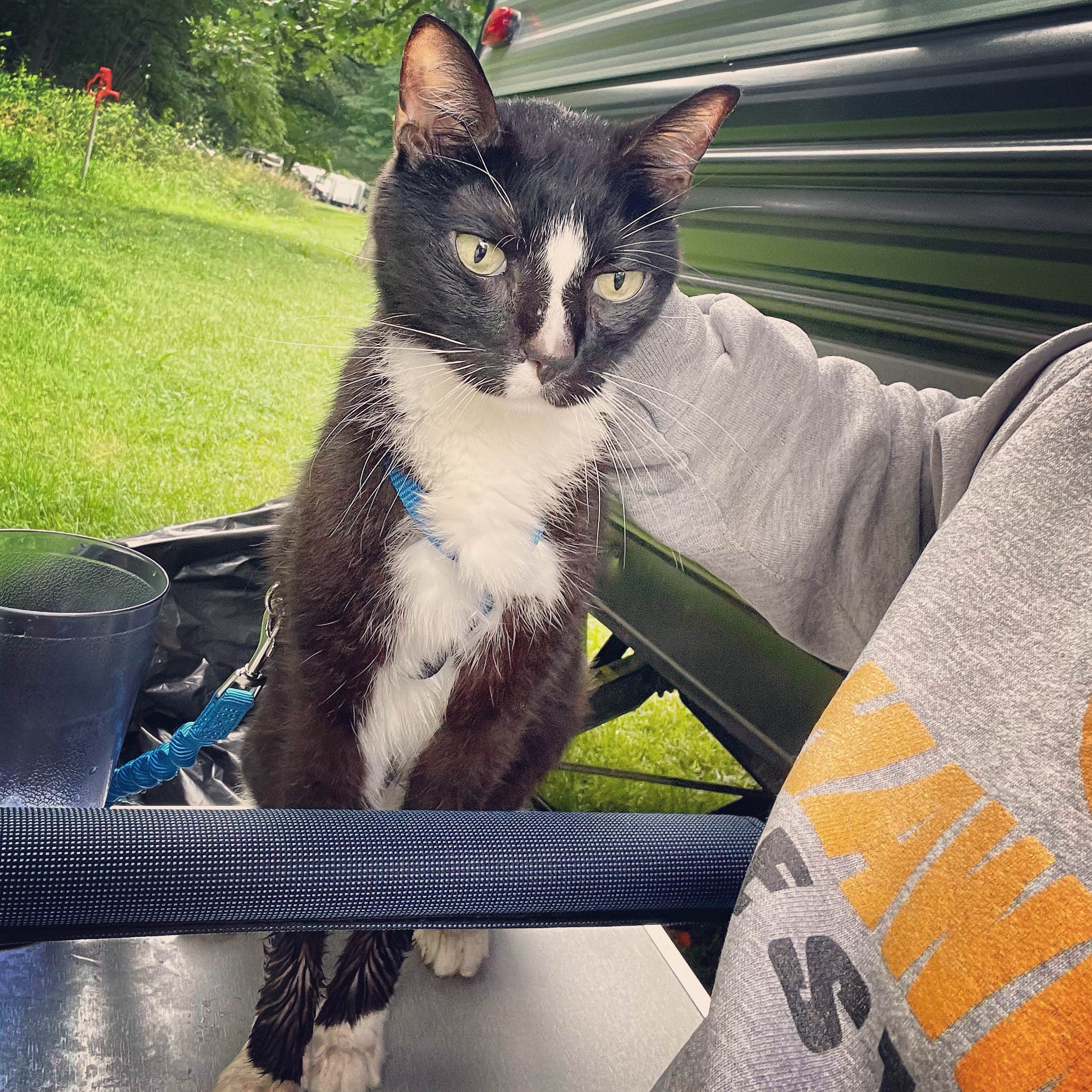 Kristin B.'s photo of camping with pets at Sugar Bottom Campground near North Liberty, IA