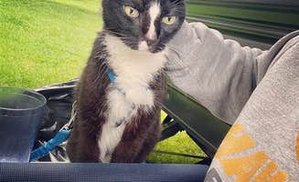 Kristin B.'s photo of camping with pets at Sugar Bottom Campground near Conesville, IA