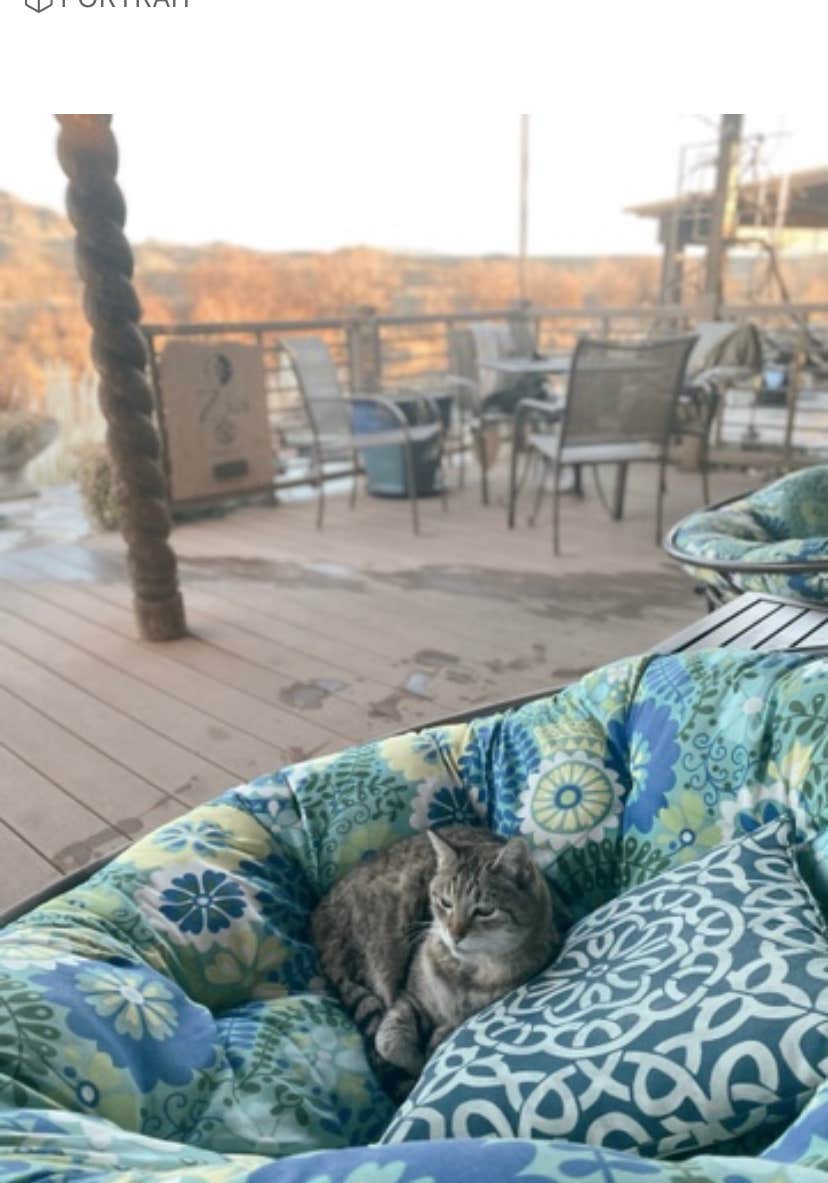Alyssa L.'s photo of camping with pets at Riverbend Hot Springs near Elephant Butte, NM