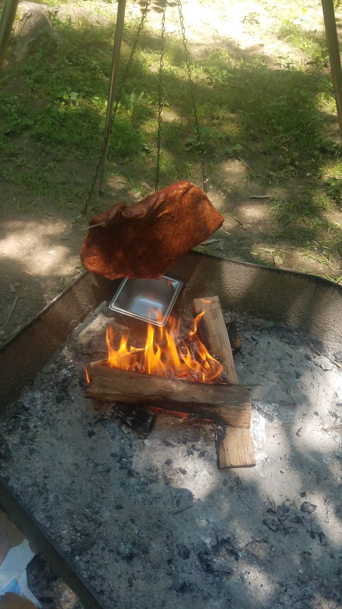 April D.'s photo at Dr. Edmund A. Babler Memorial State Park Campground near Gray Summit, MO