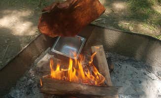 April D.'s photo at Dr. Edmund A. Babler Memorial State Park Campground near Gray Summit, MO