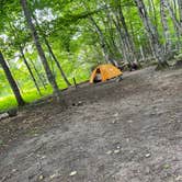 Review photo of Pictured Rocks National Lakeshore Backcountry Sites — Pictured Rocks National Lakeshore by Krissy M., July 18, 2022