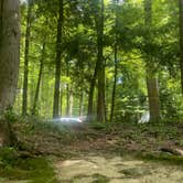 Review photo of Elkmont Campground — Great Smoky Mountains National Park by Katherine , July 18, 2022