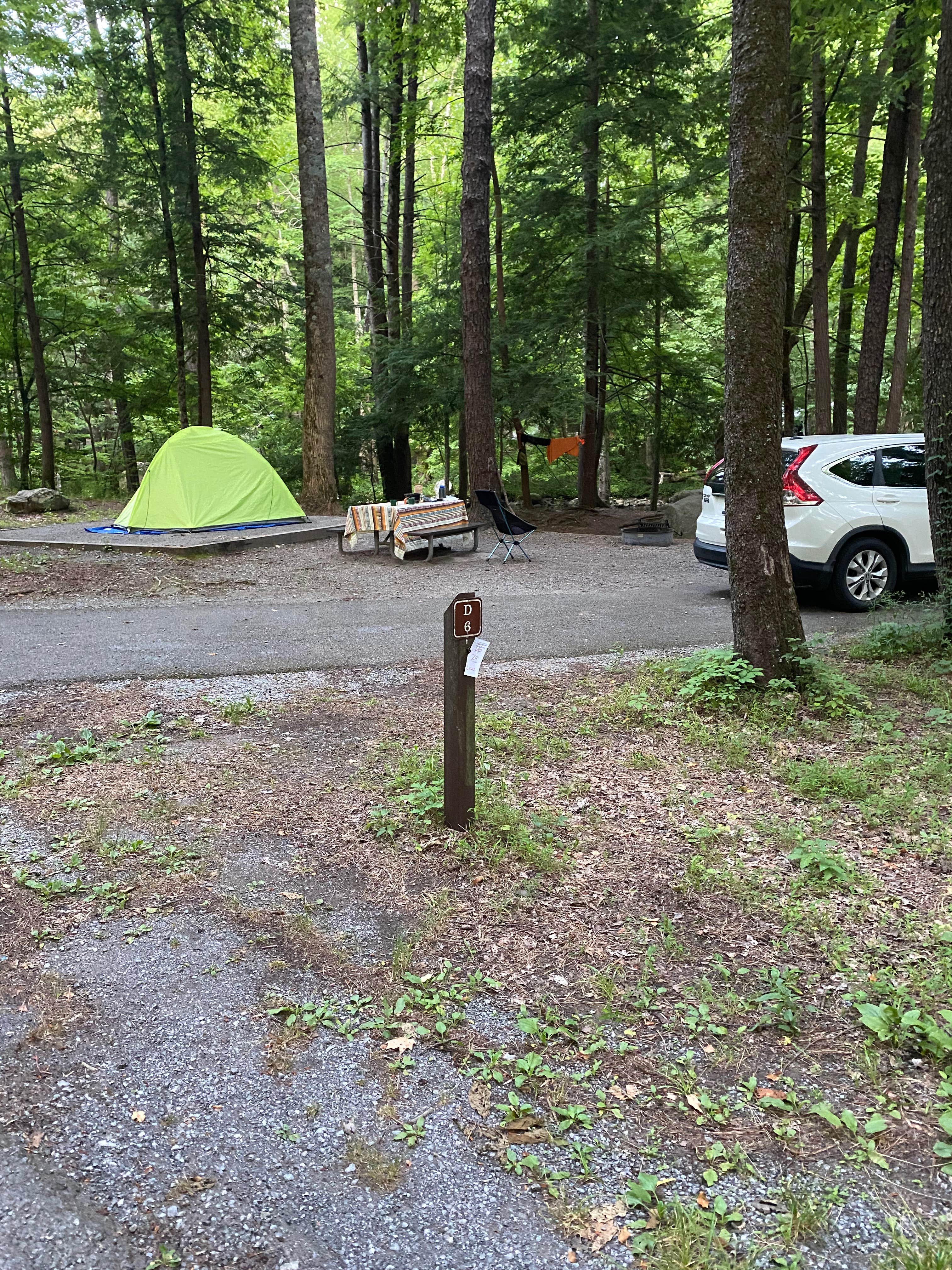 Katherine's photo at Elkmont Campground — Great Smoky Mountains National Park near Great Smoky Mountains National Park