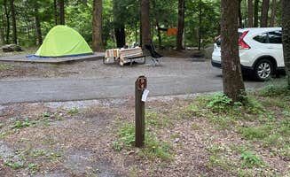 Katherine's photo at Elkmont Campground — Great Smoky Mountains National Park near Great Smoky Mountains National Park