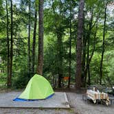 Review photo of Elkmont Campground — Great Smoky Mountains National Park by Katherine , July 18, 2022