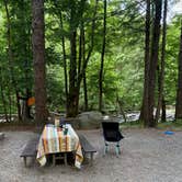 Review photo of Elkmont Campground — Great Smoky Mountains National Park by Katherine , July 18, 2022