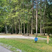 Review photo of Babcock State Park Campground by Shana D., July 18, 2022